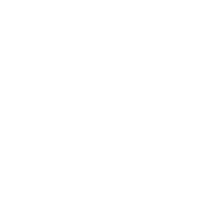 us army